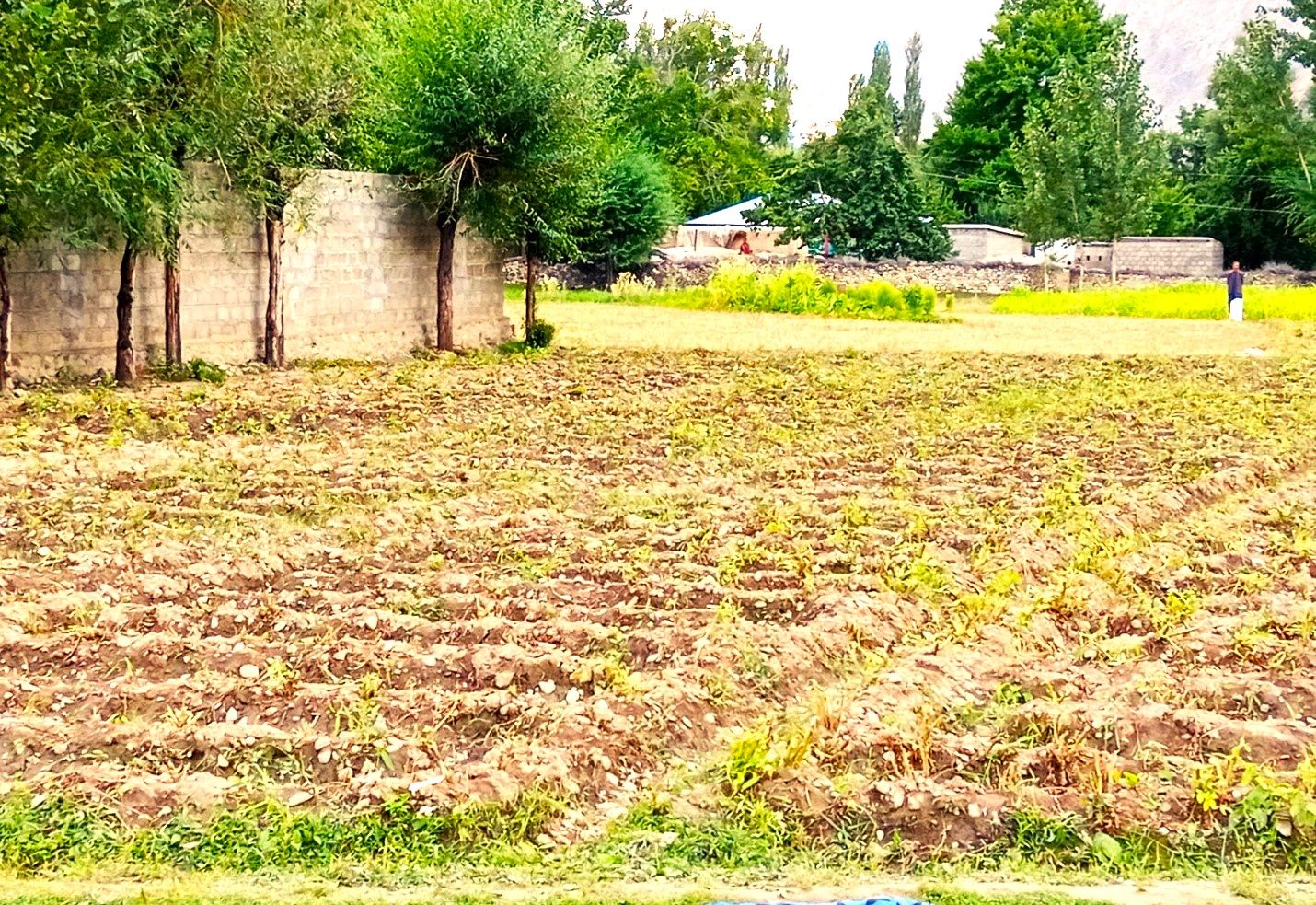 Community Land Acquisition